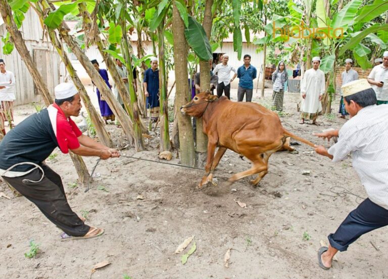 Hukum Korban Untuk Orang Telah Meninggal Dunia