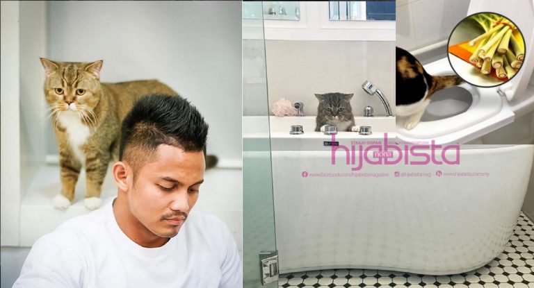 Ramai Tak tahu Cara Nak Latih KUCING KENCING Di Tandas. Ini Cara MUDAH Latih Kucing Anda