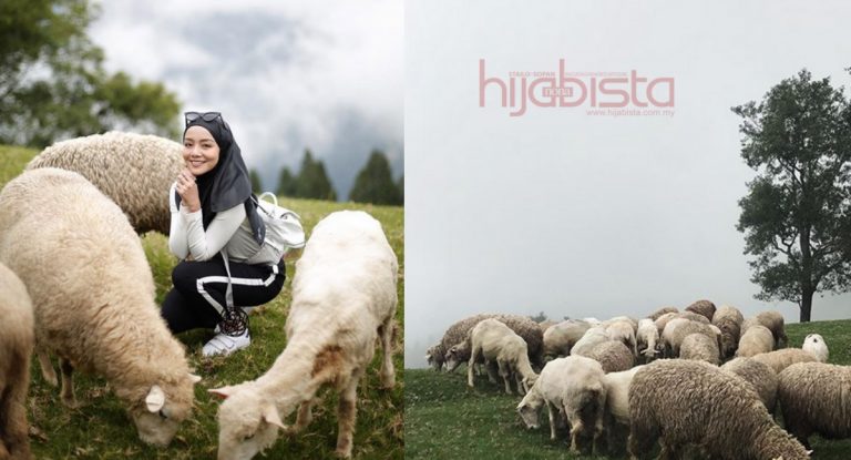 Selain Syurga Buat Kaki #OOTD, Taiwan Juga Tawar ‘Muslim Friendly’. Hijabi Ini Kongsi Pelbagai Aktiviti & Tempat Menarik