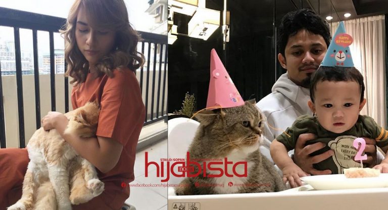 Kucing Dan Kedudukannya Dalam Islam. Ini Manfaatnya Bila Kita Menyayangi Kucing.