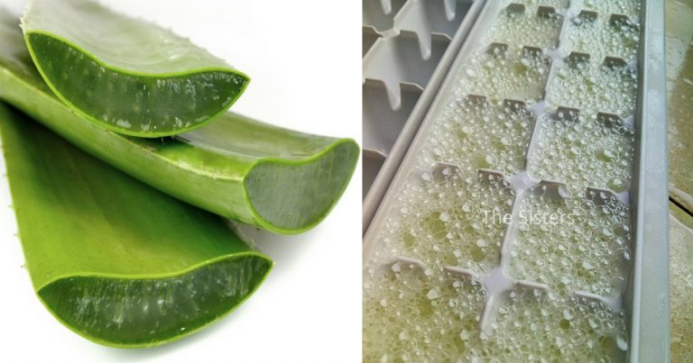 Diy Kiub Ais Aloe Vera Untuk Kecutkan Jerawat Juga Boleh Buat Kulit Jadi Licin & ‘Flawless’. Rugi Tak Cuba!
