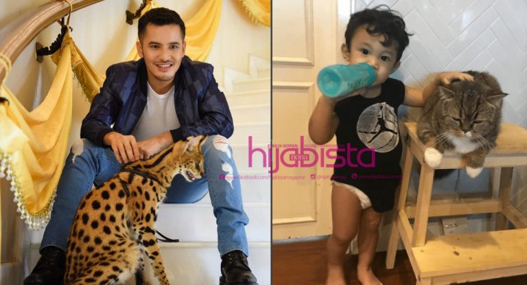 Elak Halau Kucing Datang Rumah Minta Makanan, Itu Rezeki Kerana Tuhan Hantar Malaikat Sekali